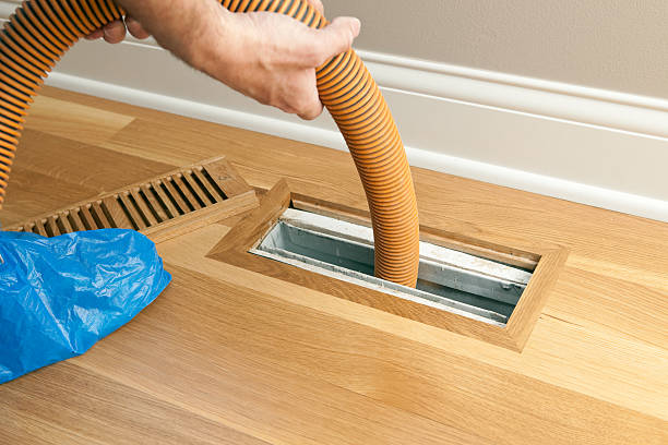Best Air Vent Cleaning Services  in Machias, WA